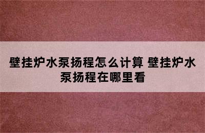 壁挂炉水泵扬程怎么计算 壁挂炉水泵扬程在哪里看